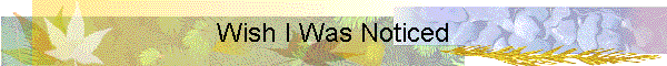 Wish I Was Noticed