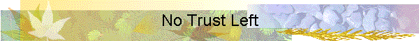 No Trust Left