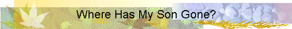 Where Has My Son Gone?